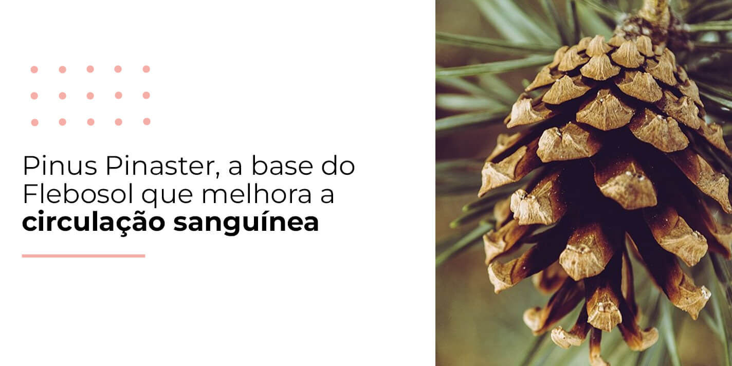FleboSol é um aliado para a circulação sanguínea